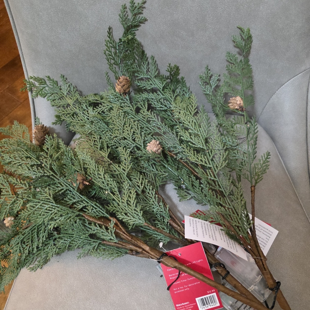 3 World Market Cypress Pinecone Pre Lit LED Battery Stem Set Christmas Winter